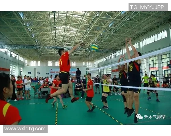 上海排球队的速度之谜：揭秘排球巨献背后的训练与策略