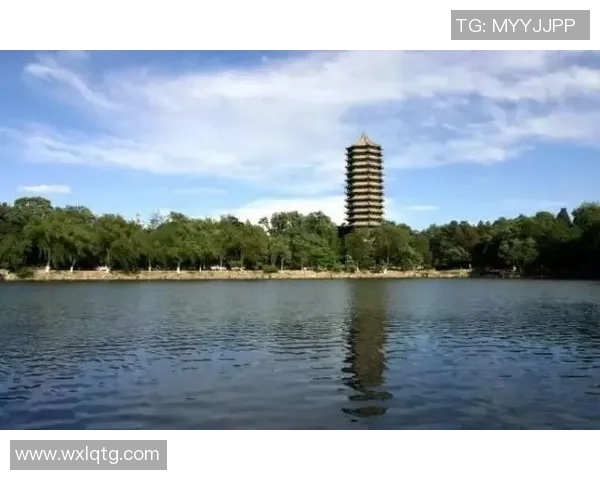 北京篮球队的奋斗历程与荣耀时刻全景纪实 北京篮球队的奋斗历程与荣耀时刻全景纪实