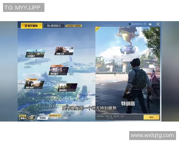 和平精英战术解析LNG战队反击体系的全面剖析与实战应用