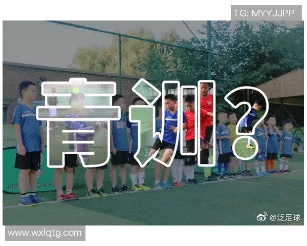 福建足球蔡的崛起之路与未来发展展望解析 福建足球蔡的崛起之路与未来发展展望解析