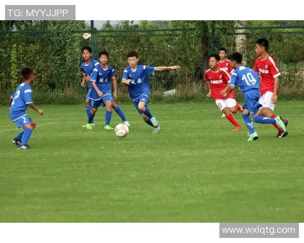 足球dag的魅力与热情探讨如何提升青少年足球水平与参与度 足球dag的魅力与热情探讨如何提升青少年足球水平与参与度